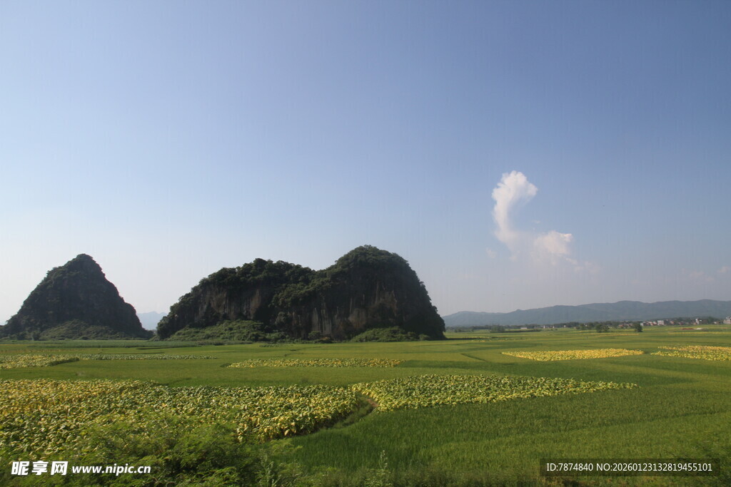 草原上的奇特山峰景观