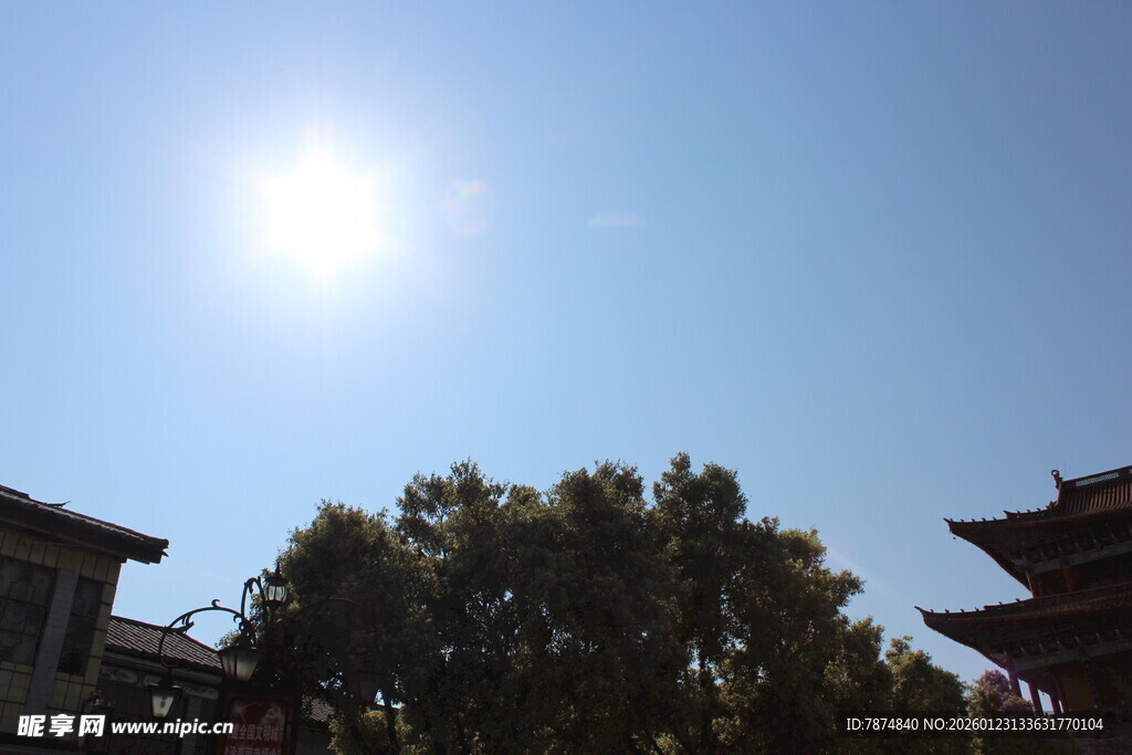阳光下的古建筑与绿树