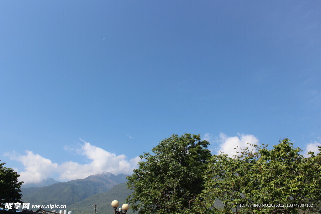 蓝天绿树间的自然美景