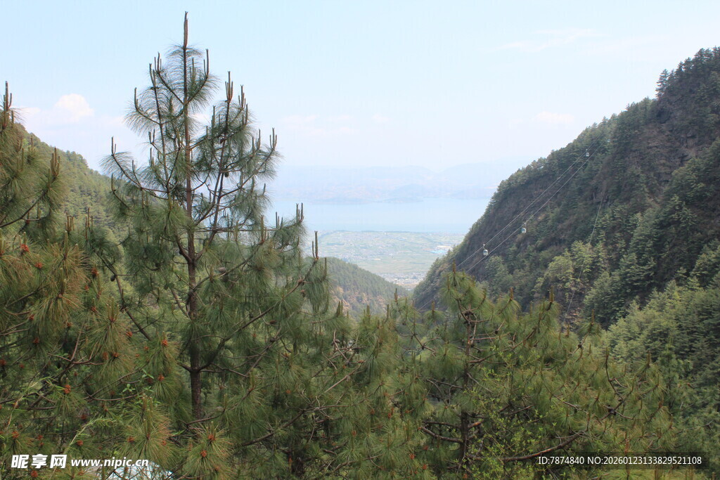 山间松林远眺开阔景致
