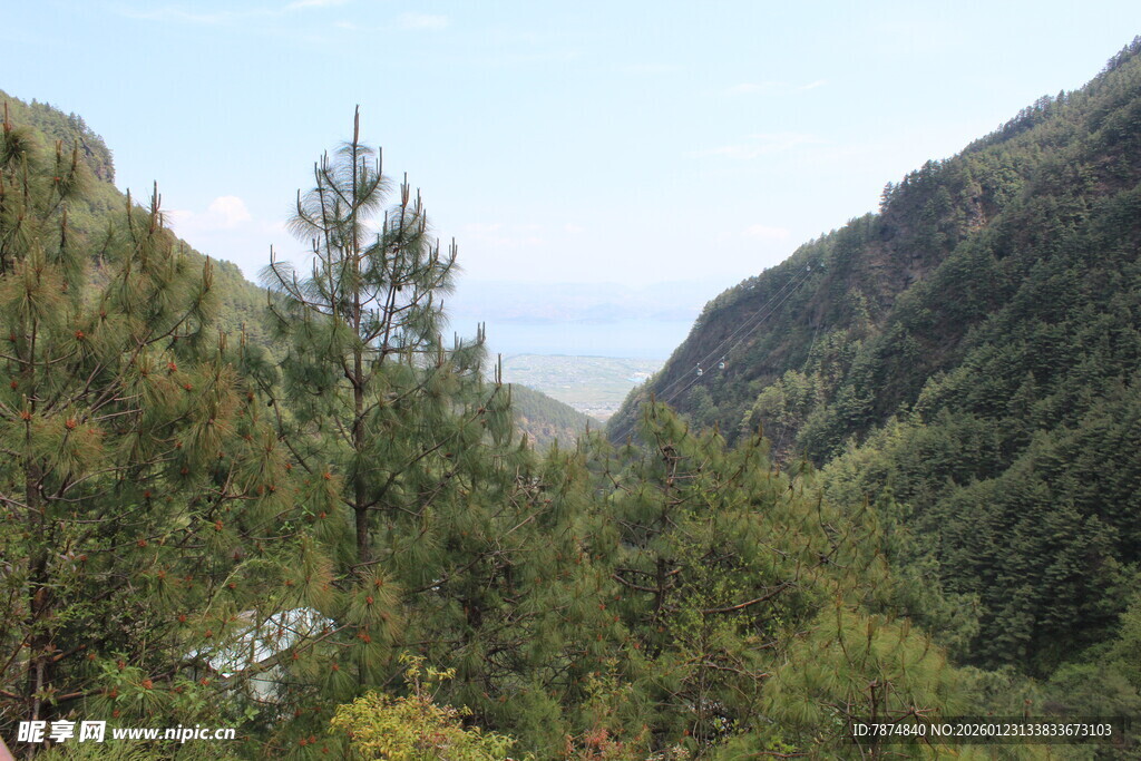 山间葱郁树林与开阔远景