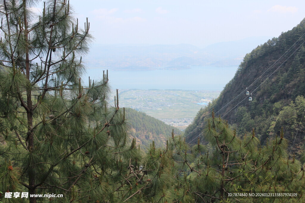 山间松林与远处开阔景致