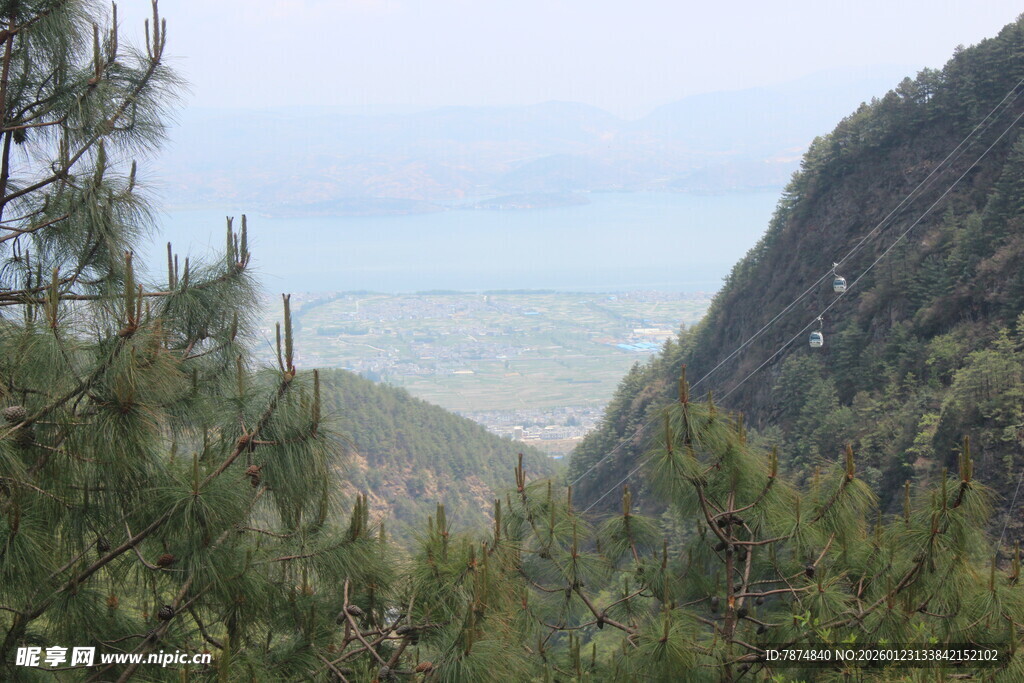 山间松景 远眺广阔天地