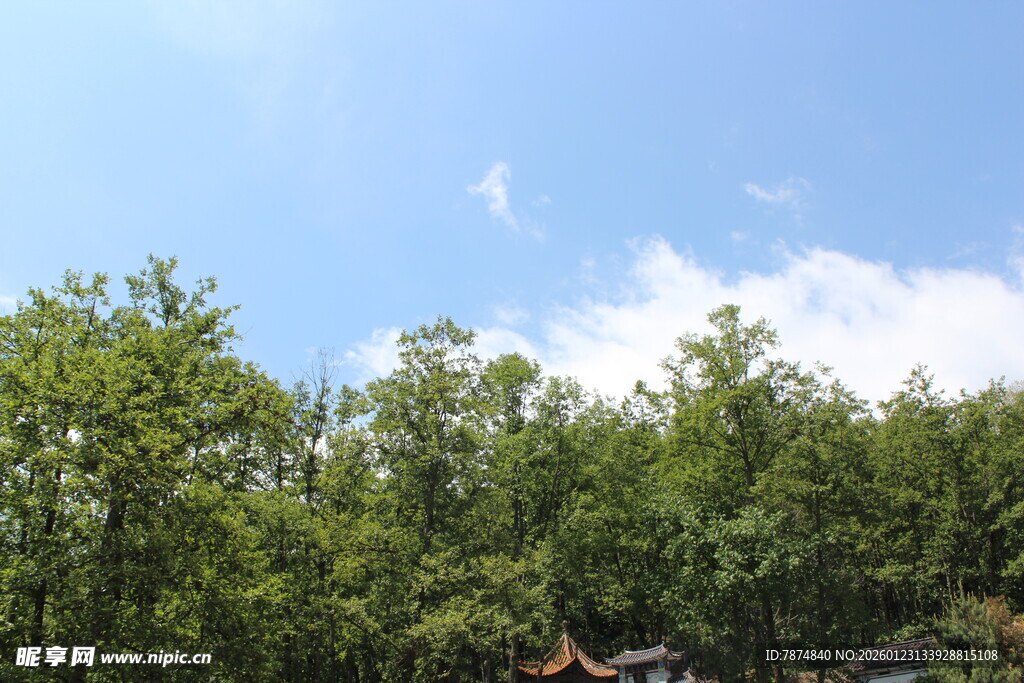 绿树蓝天间的中式亭阁