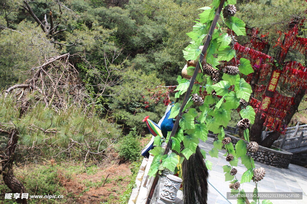 山间绿植缠绕的车辆一角