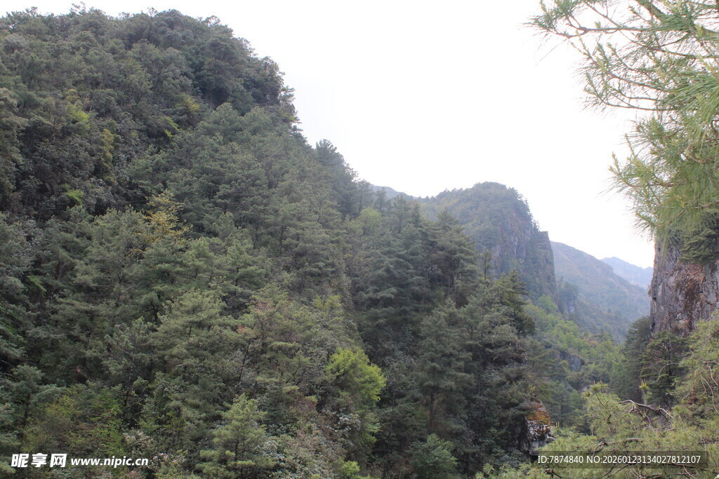 青山绿树间的秀丽山景