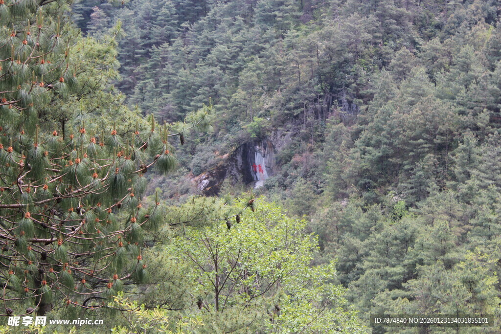 山林间的隐秘建筑