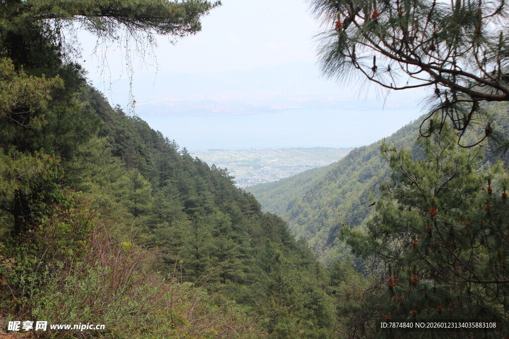 山间绿意盎然的秀丽景致