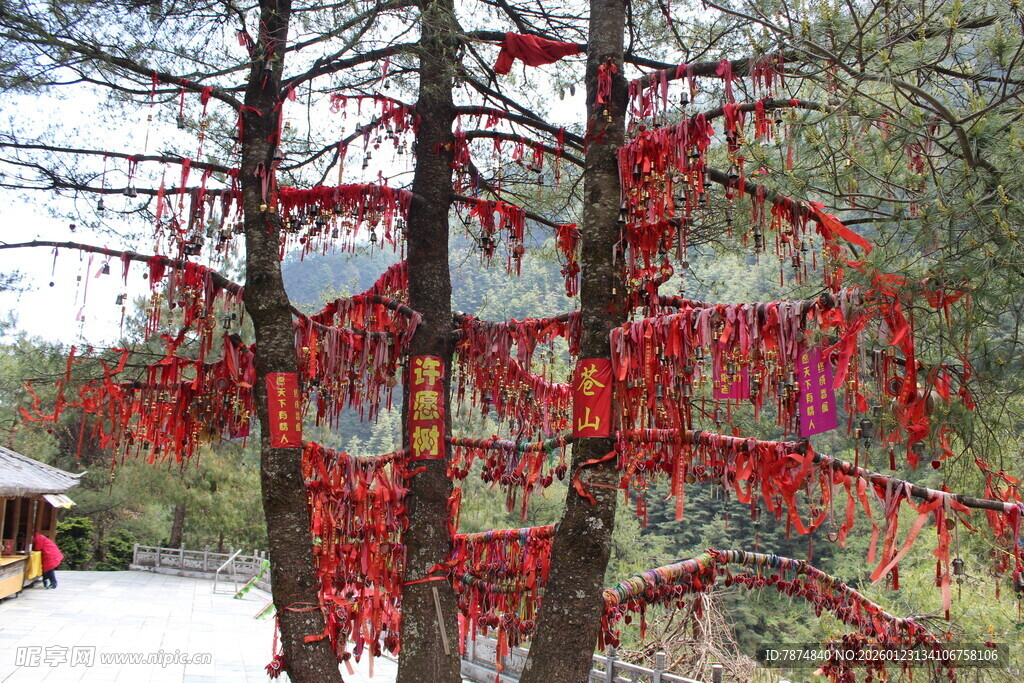 树上挂满祈福红绸带