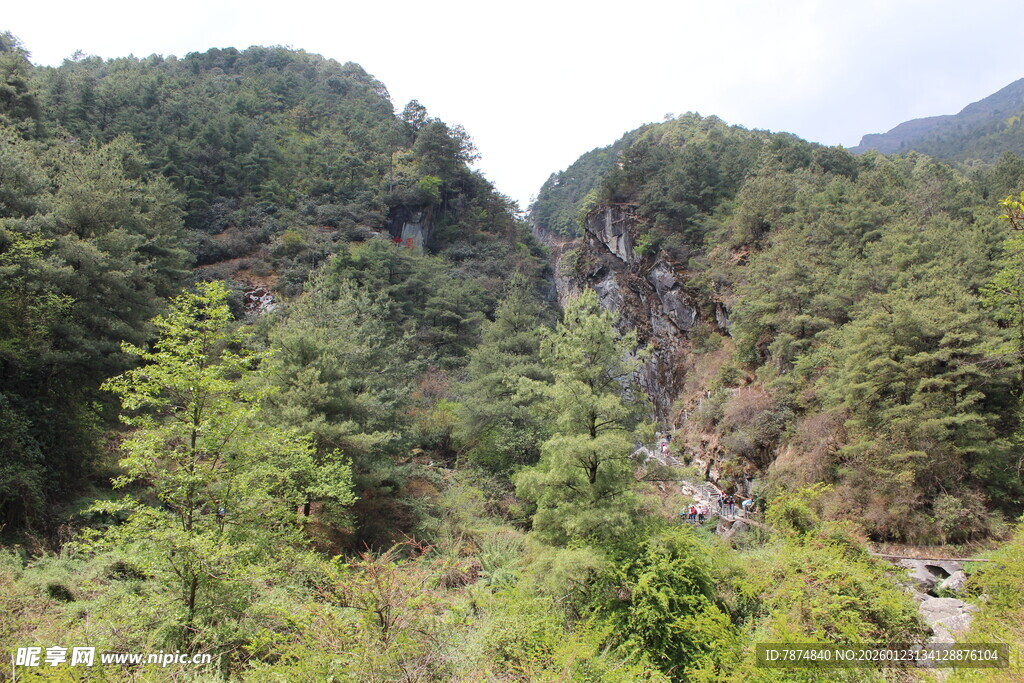 山间绿意盎然的秀丽景致