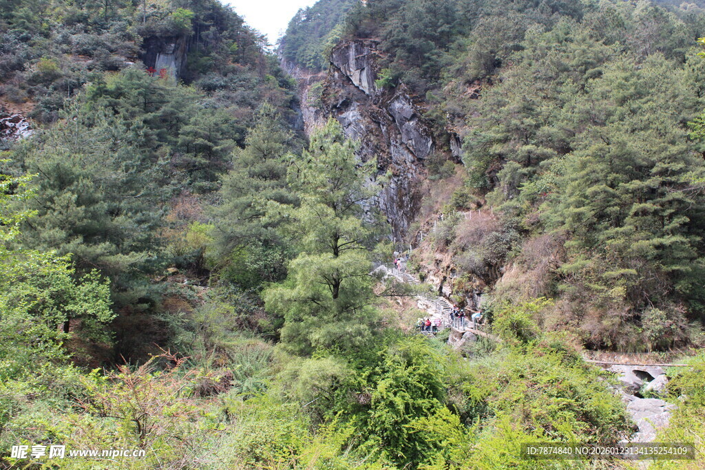山间翠绿溪流景观