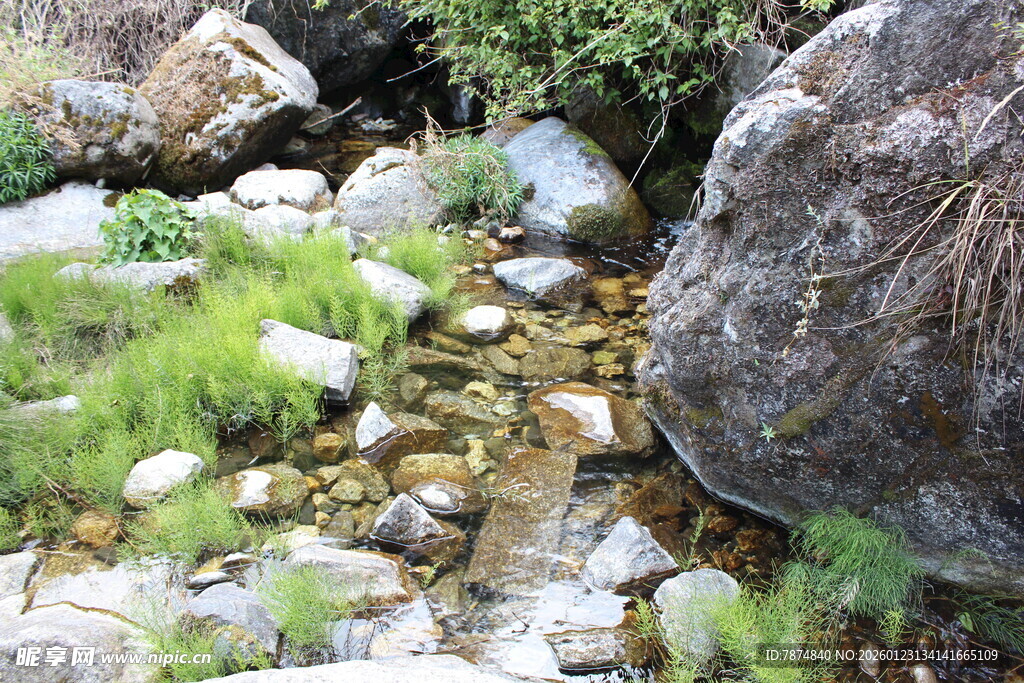 山间溪流旁的石头与绿植
