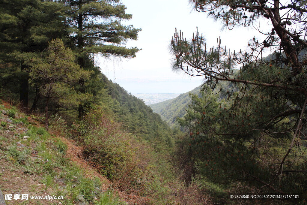 山间绿意盎然的风景