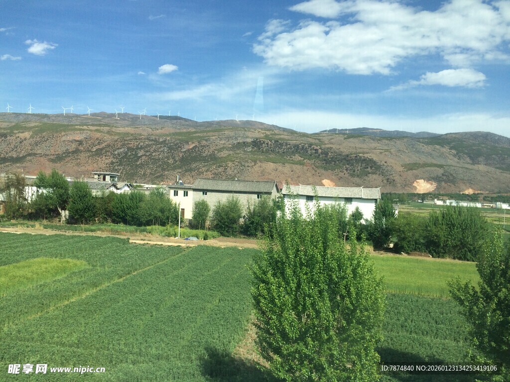 田园风光 绿意盎然的景致