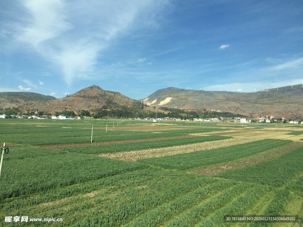 田园风光 广袤田野与远山