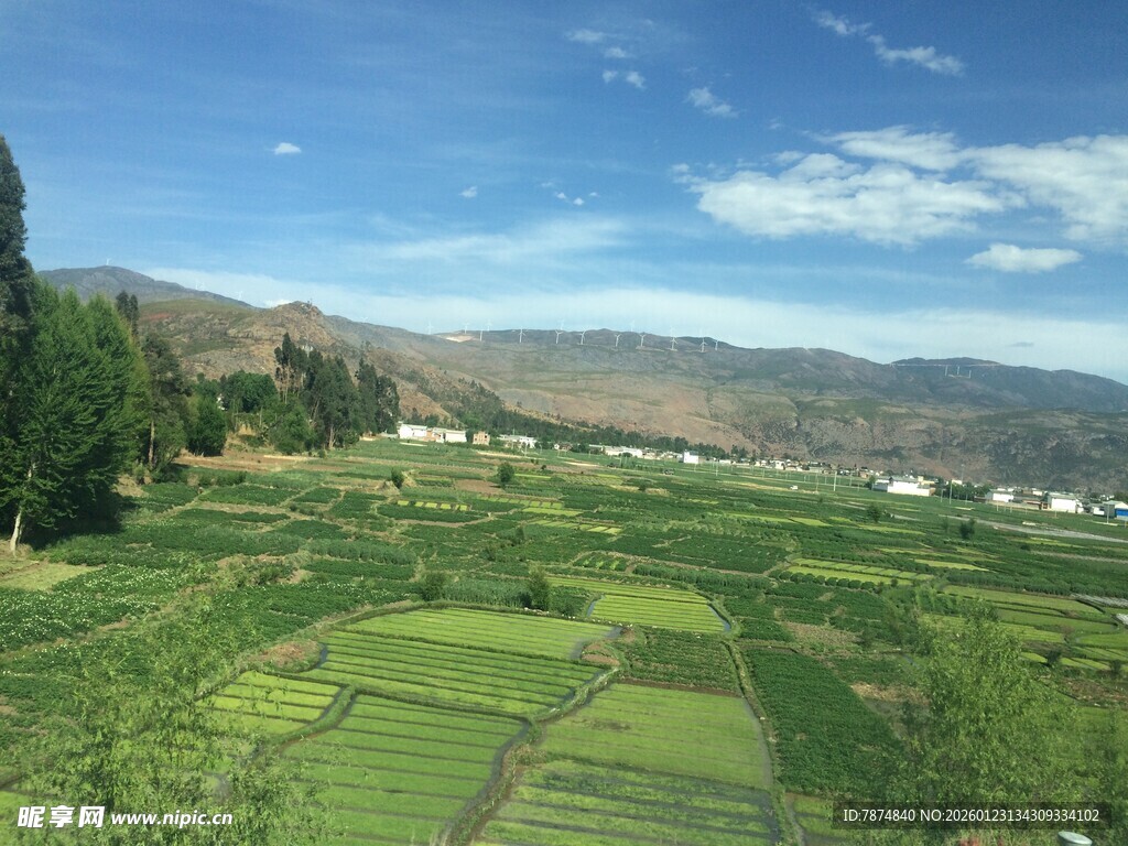 田园风光 绿意盎然的田野