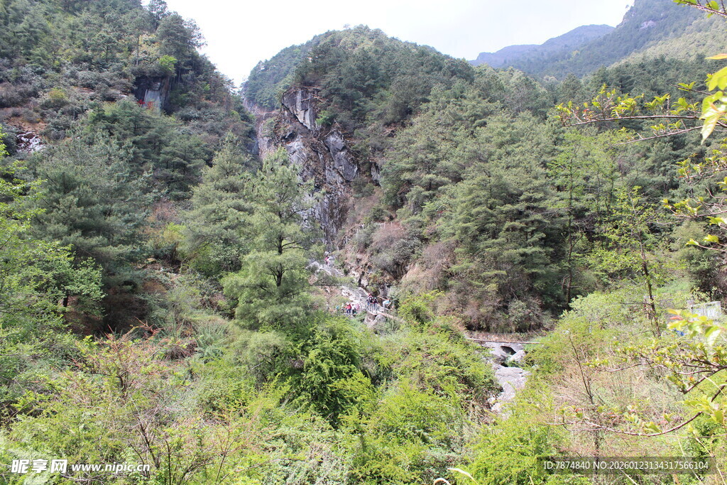 山间翠绿峡谷美景
