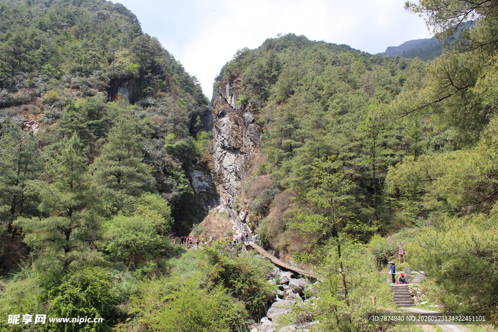 山间峡谷绿意盎然景观