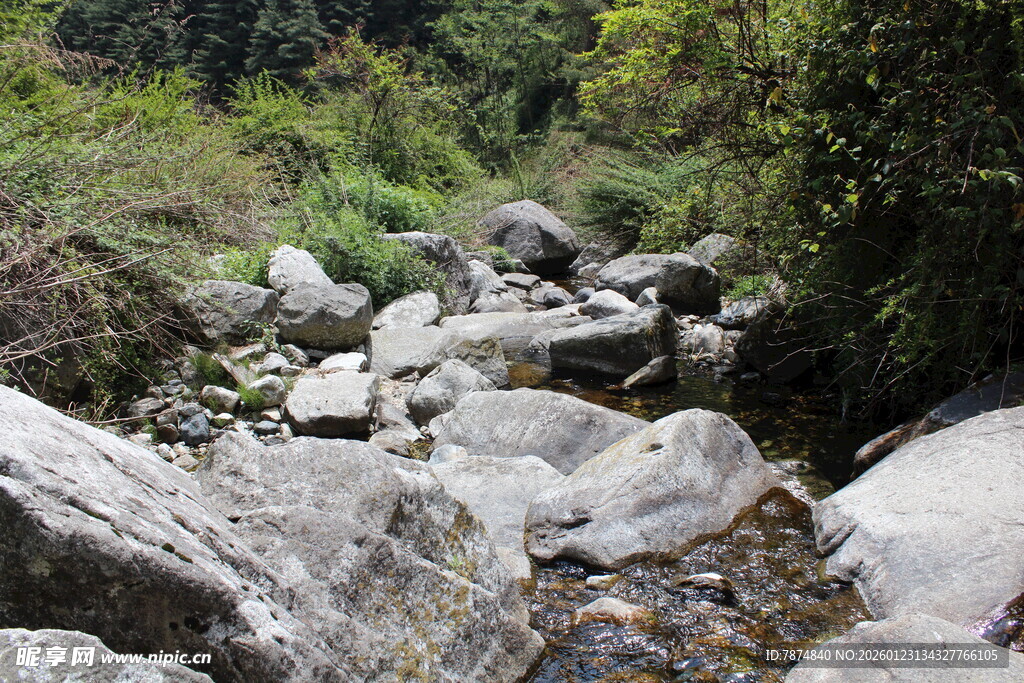 山间溪流 石间潺潺流水