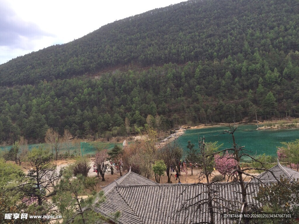 山间翠湖旁的静谧景致