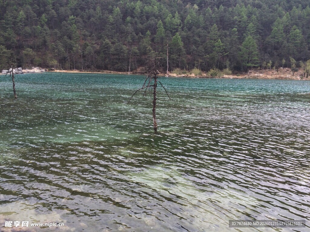 清澈碧绿的湖水景观