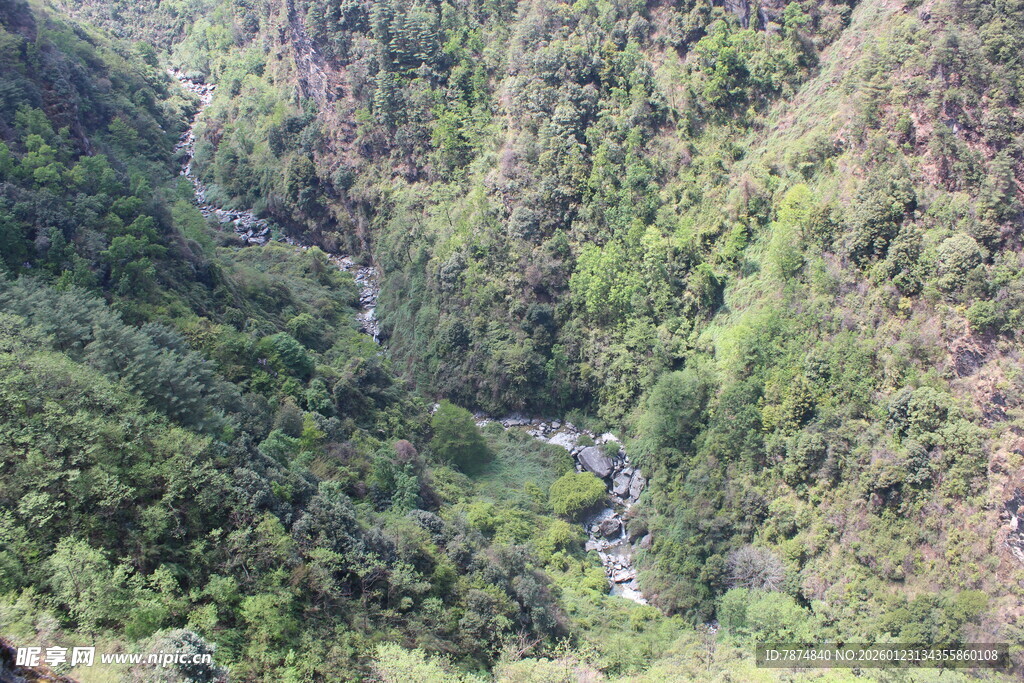 山间蜿蜒溪流的绿意景致