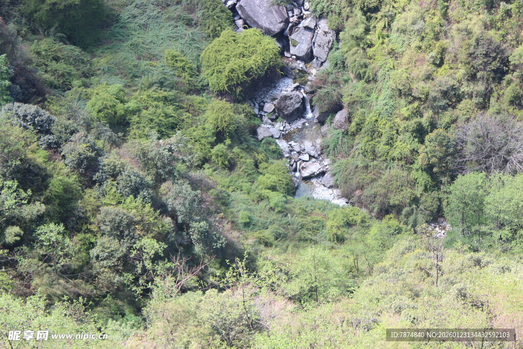 山间溪流穿林而过