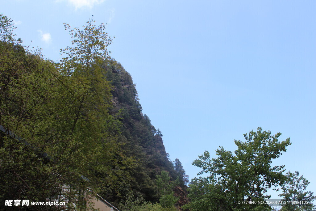 青山绿树间的秀丽景致