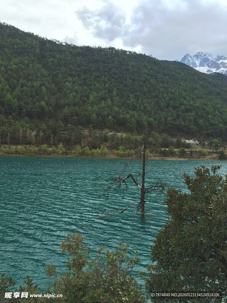 碧绿湖水与青山相映成趣