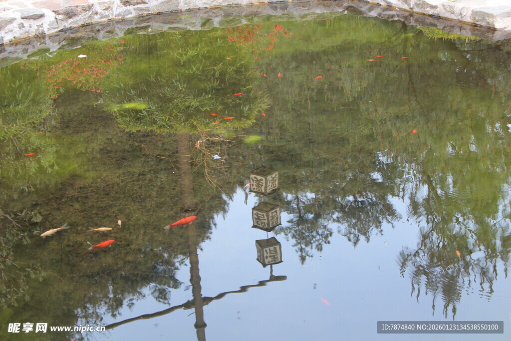 池塘锦鲤与石桥倒影