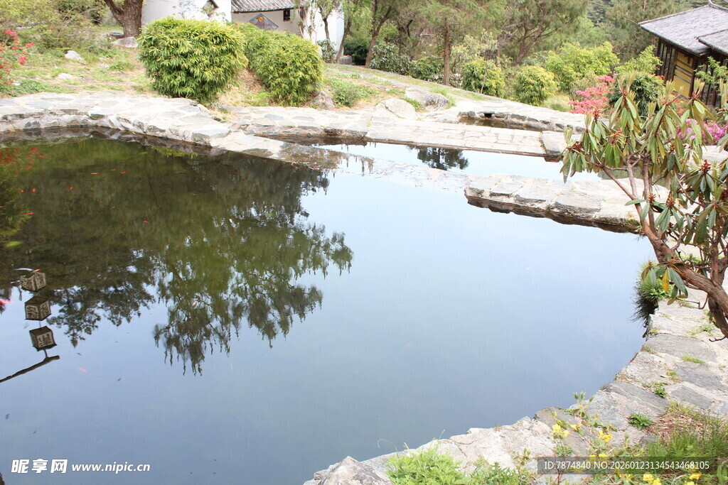 宁静庭院中的清幽小池塘