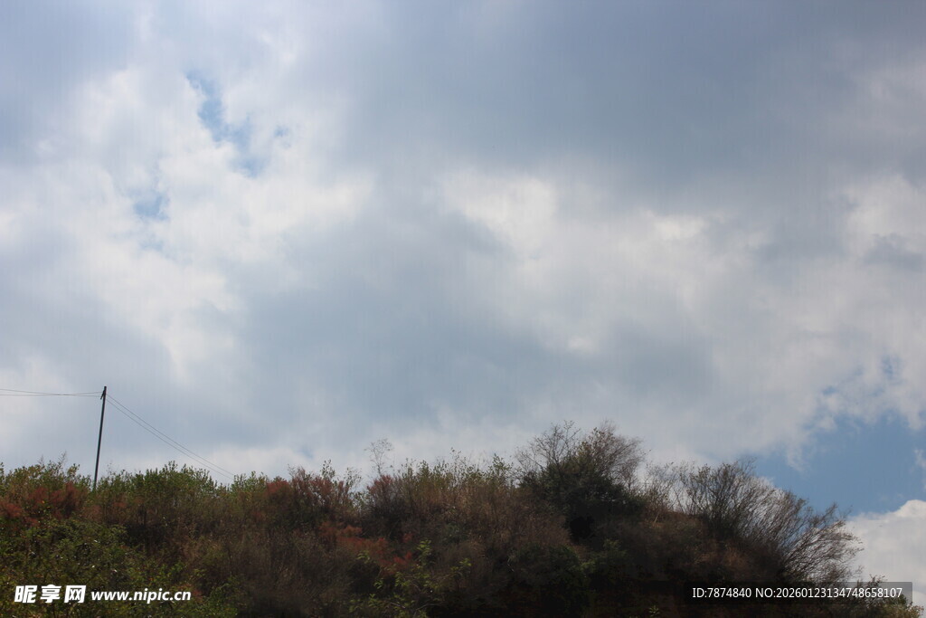 天空下的植被与朦胧云层