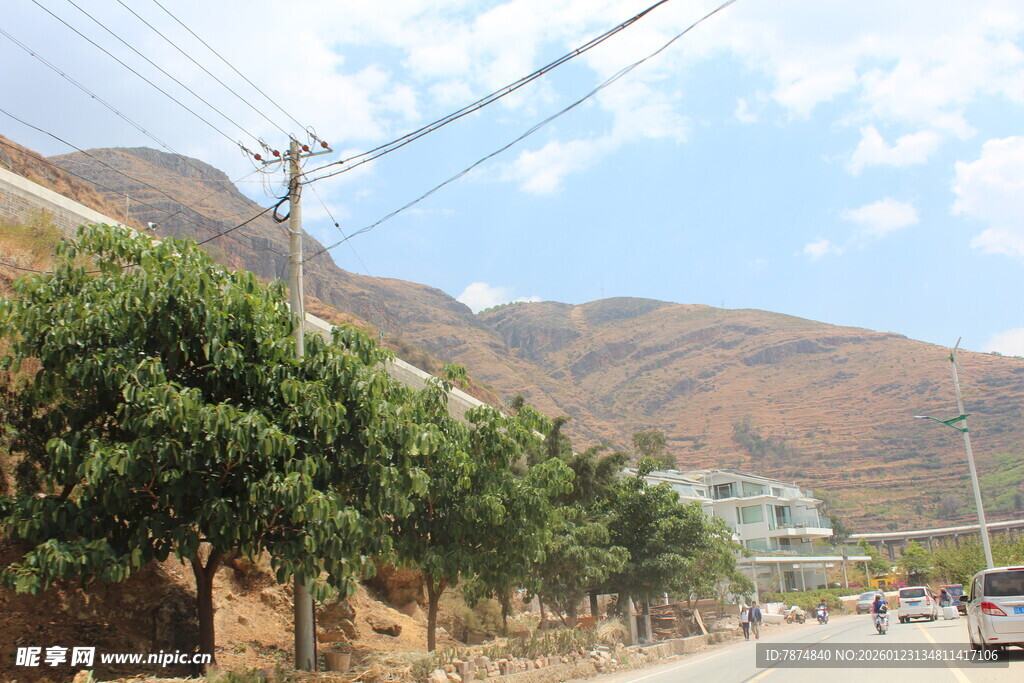 山间公路旁绿树成荫景象