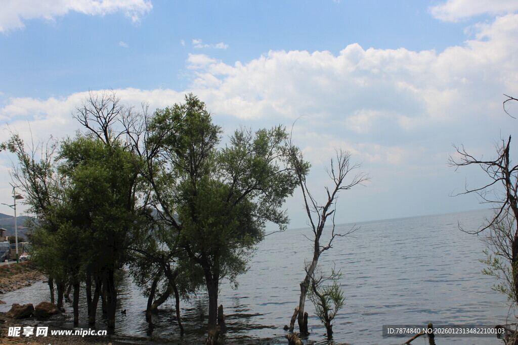 湖畔绿树与蓝天碧水
