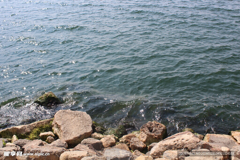 海边礁石与涌动的海水