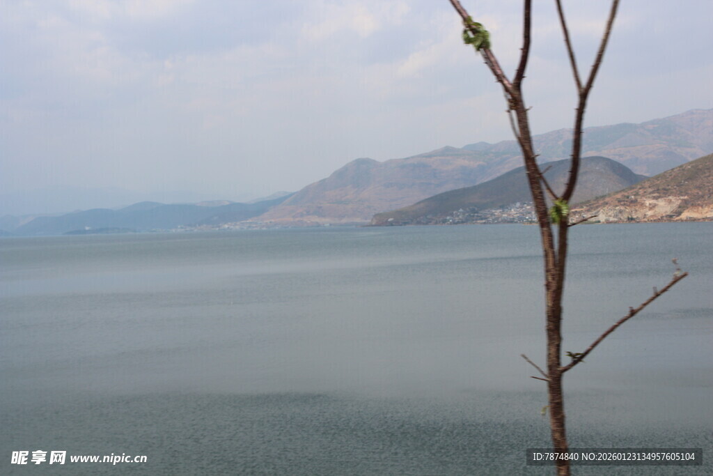 湖畔孤枝映远山