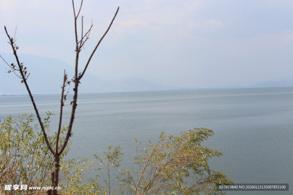 湖畔树枝与开阔水面景色
