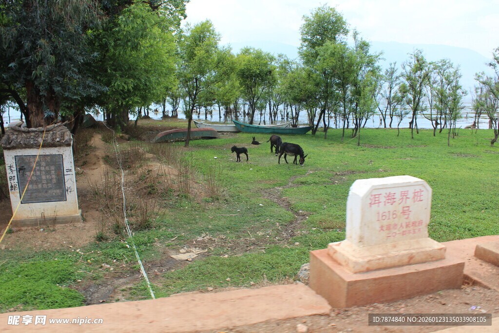 乡村墓地与远处吃草牲畜