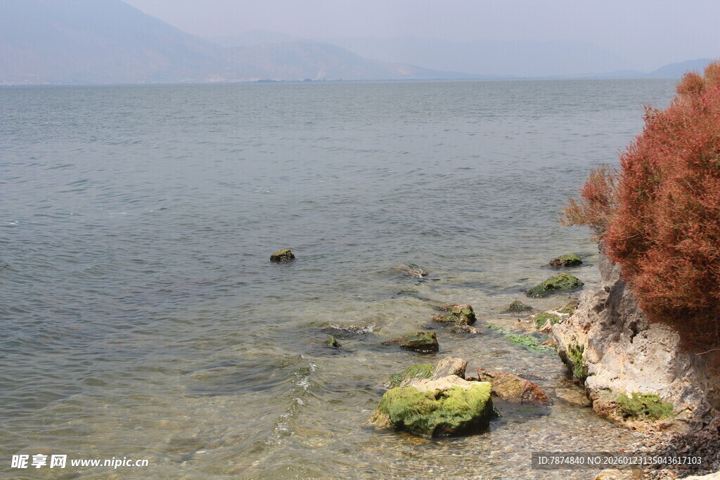 湖畔岸边的自然景致