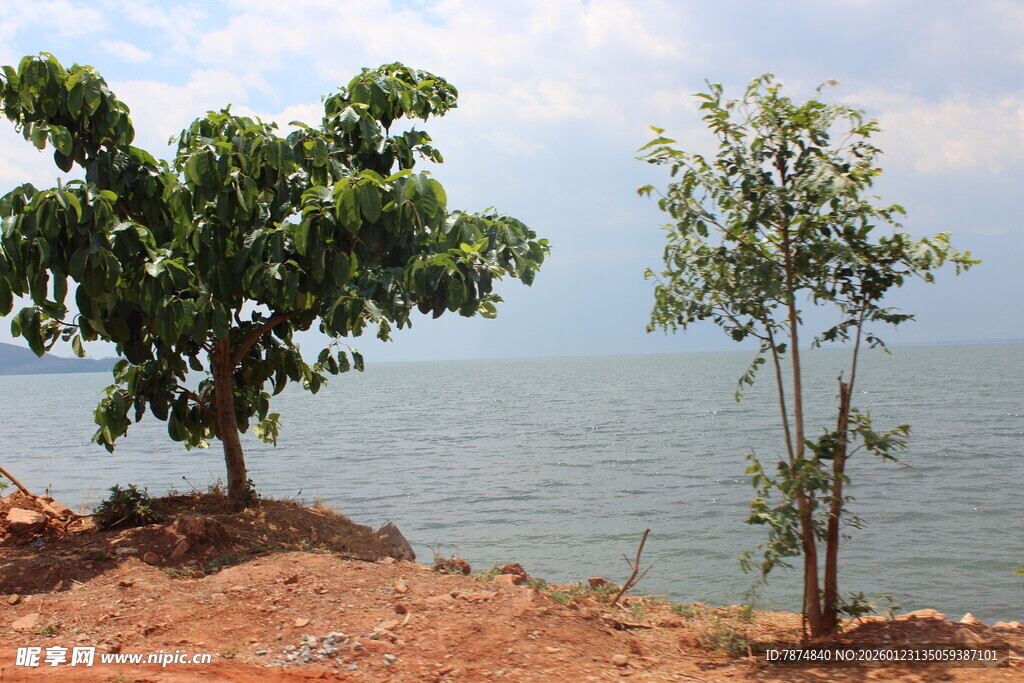岸边绿树与辽阔水域景观