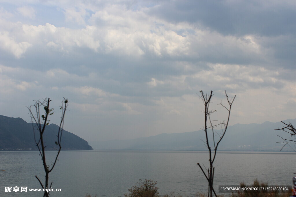 湖畔枯树与远山云雾