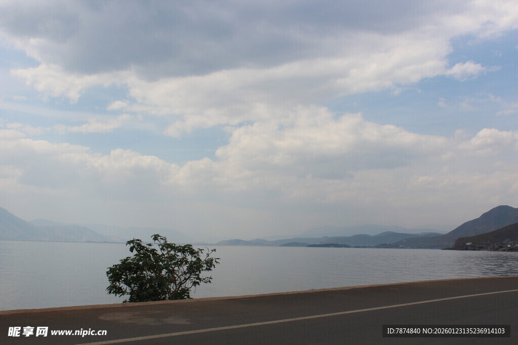 公路旁的湖景与孤树
