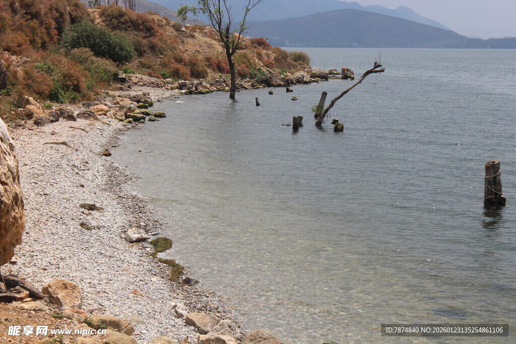宁静湖畔的岸边与水中残桩