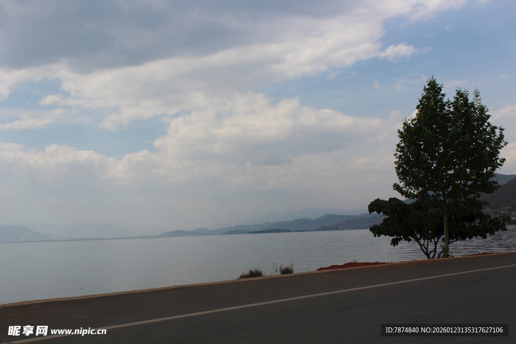 公路旁的湖景与孤树