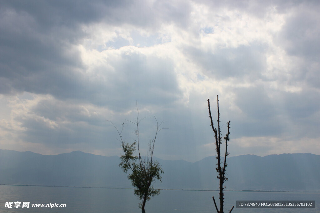云雾中枯树与远山景象