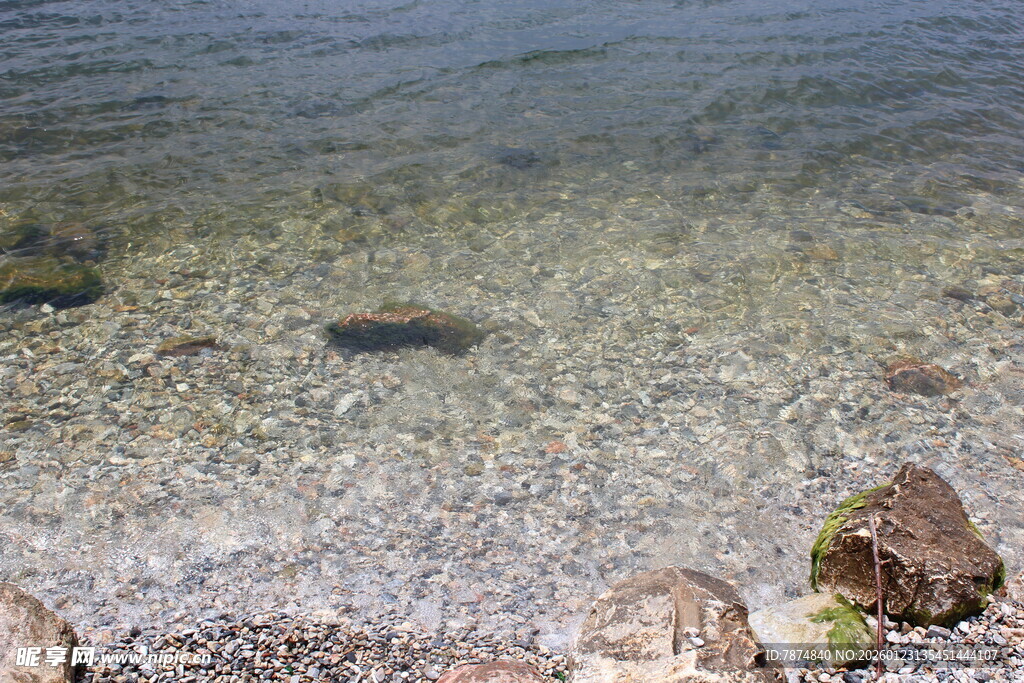 清澈水底的沙石与小鱼