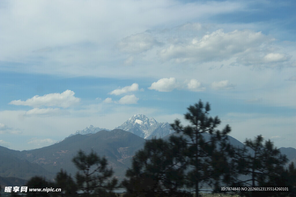 山间松景与远处山峦