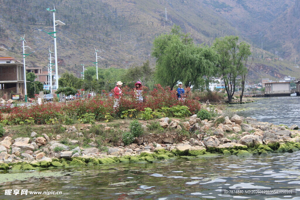 河畔风光 岸边景致宜人