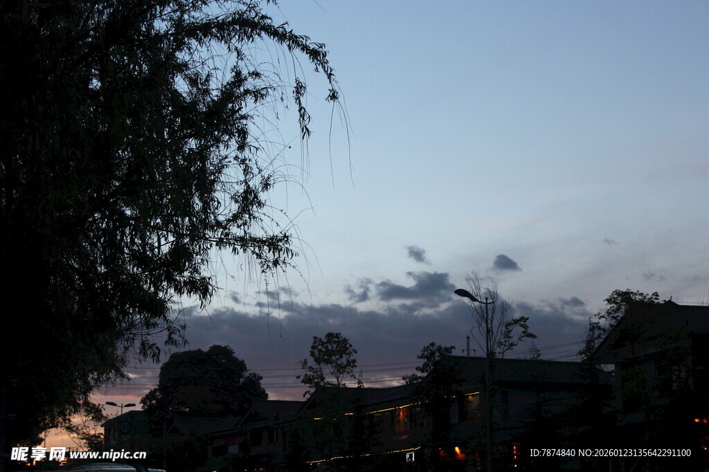 黄昏下的树木与朦胧天空