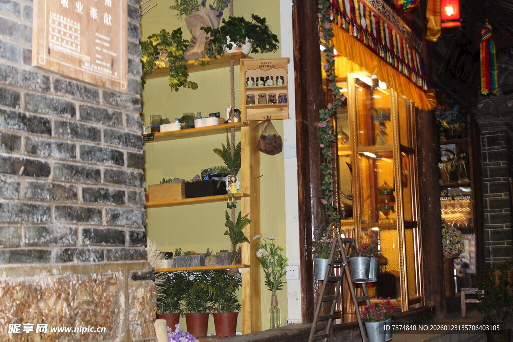 古巷中的温馨绿植小店